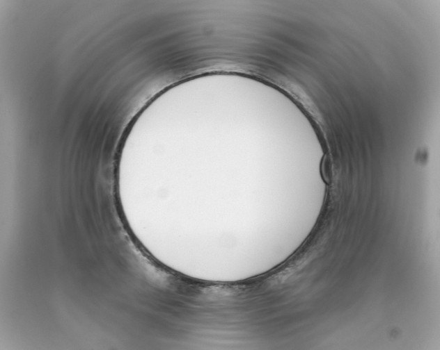 X0000091070898200709041217