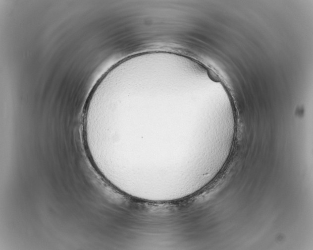 X0000091070899200709041217