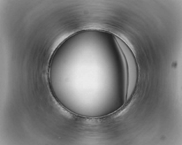 X0000091070901200709041217