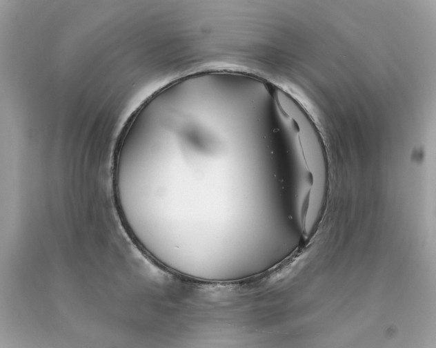 X0000091070902200709041217
