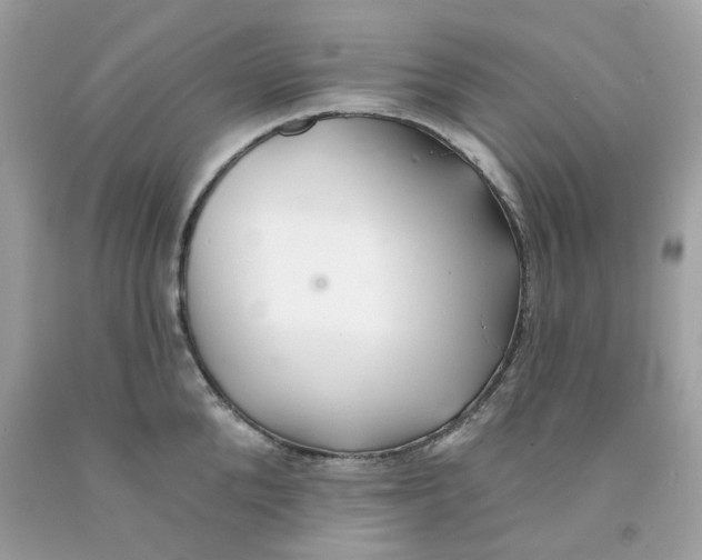 X0000091070904200709041217