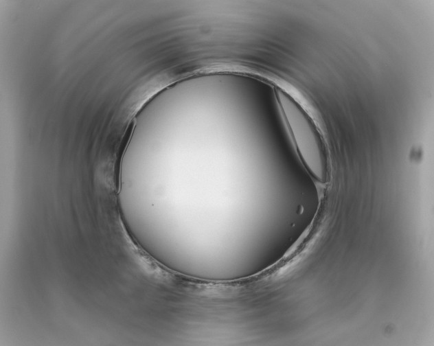 X0000091070905200709041217