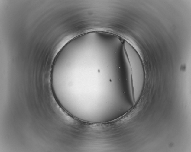 X0000091070906200709041217