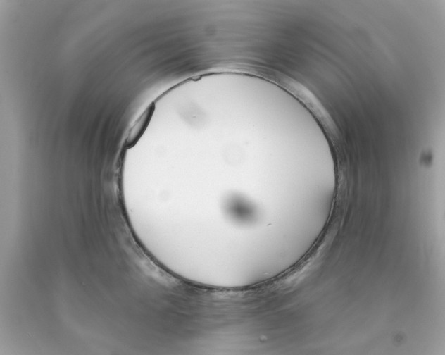 X0000091070908200709041217