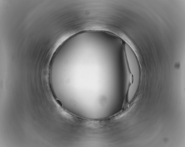 X0000091070909200709041217