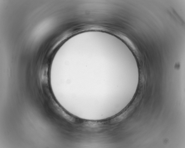 X0000091070910200709041217