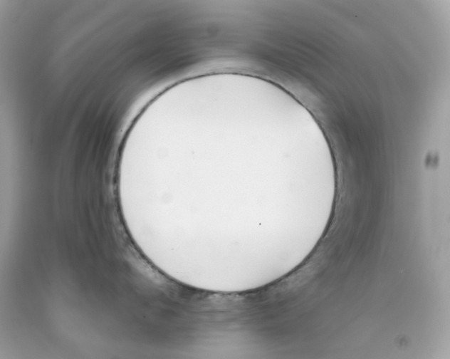 X0000091070912200709041217