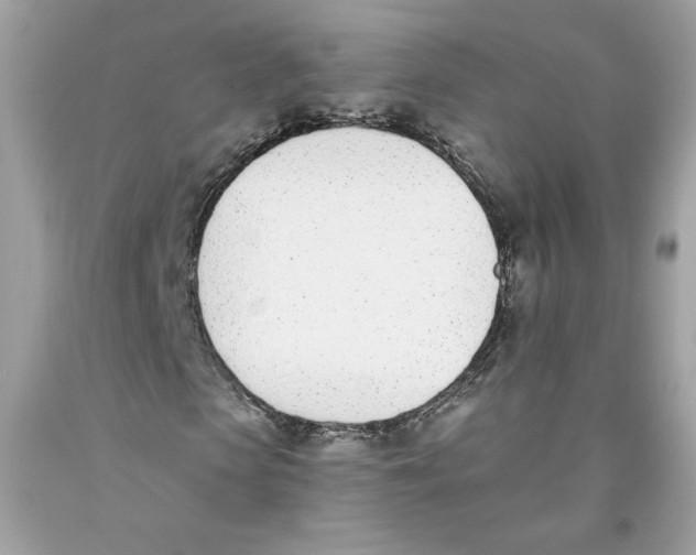 X0000091070913200709041216