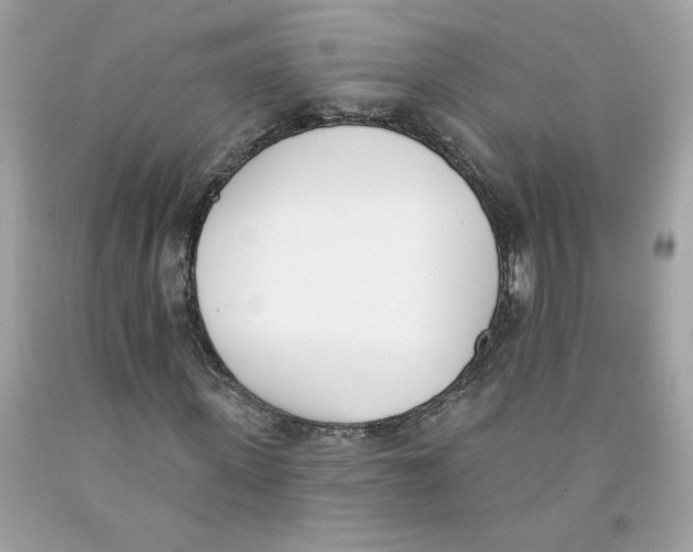 X0000091070915200709041216