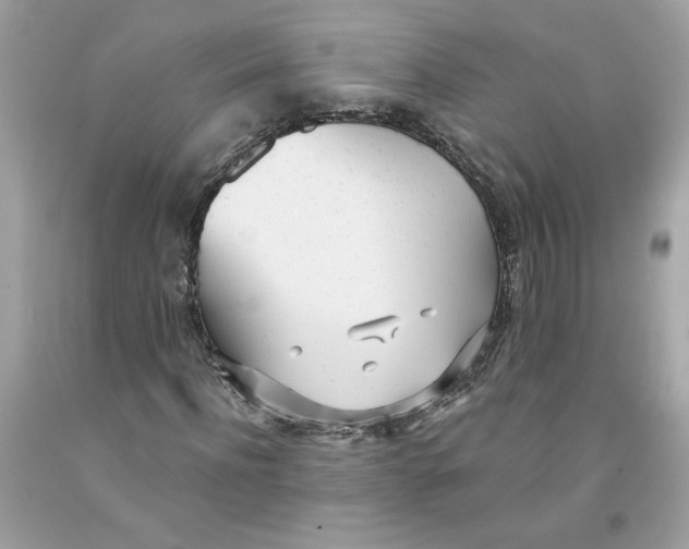 X0000091070916200709041216