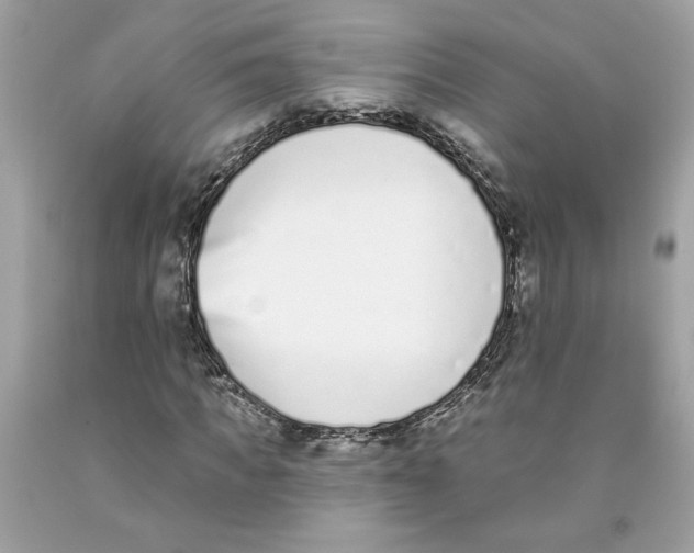 X0000091070917200709041216