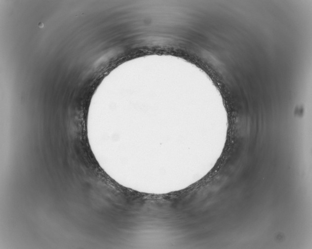 X0000091070918200709041216