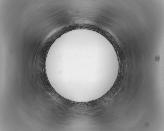 X0000091070919200709041216
