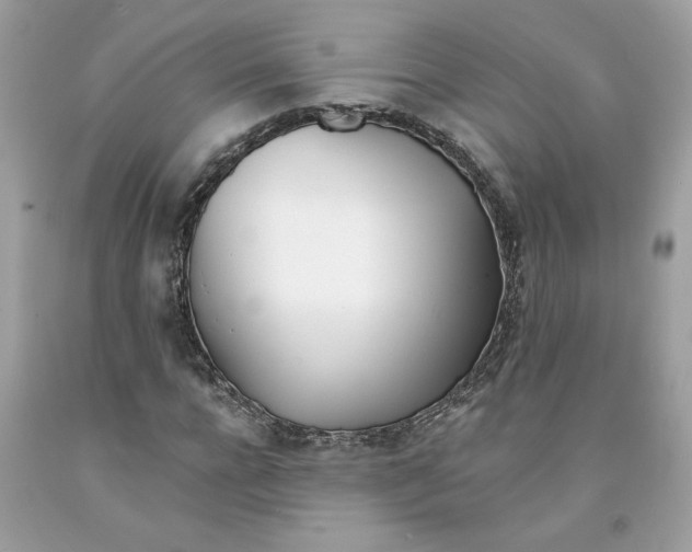 X0000091070920200709041216
