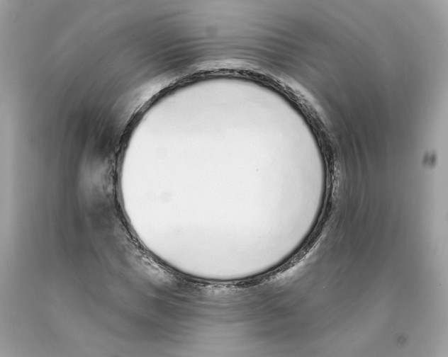 X0000091070921200709041216