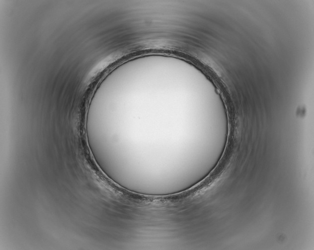 X0000091070922200709041216