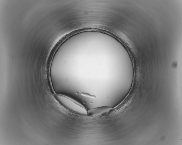 X0000091070924200709041216