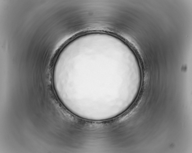 X0000091070925200709041216