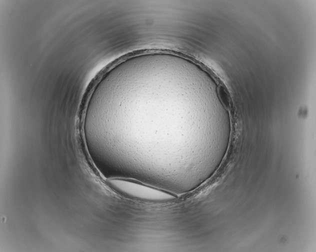 X0000091070928200709041216