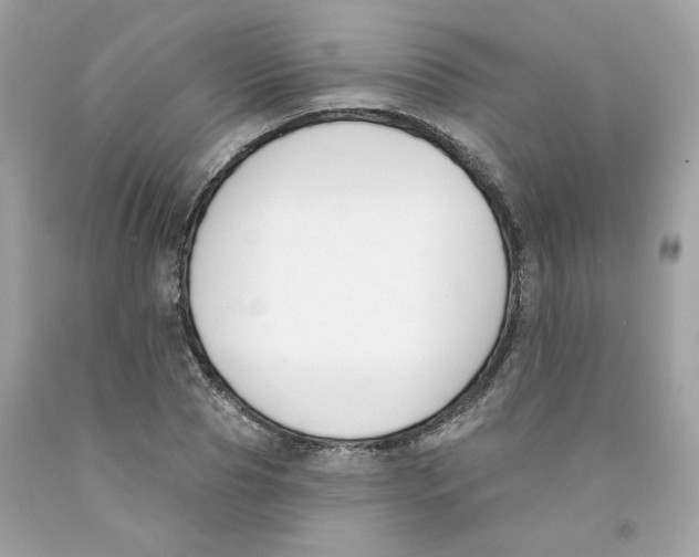 X0000091070929200709041216