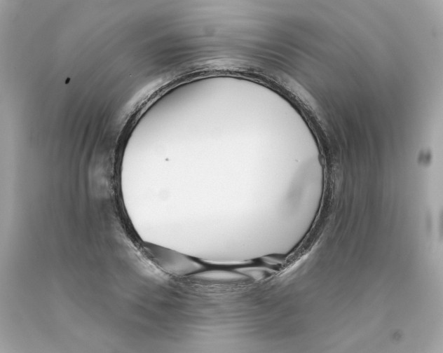 X0000091070930200709041216
