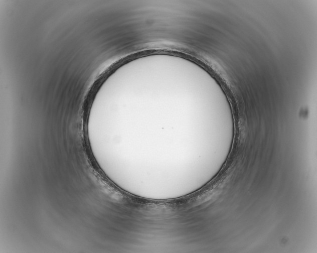 X0000091070931200709041216