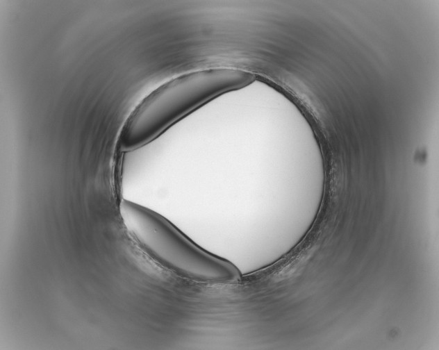 X0000091070932200709041216
