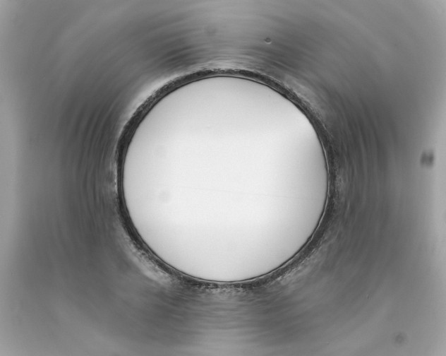 X0000091070934200709041216