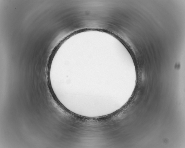 X0000091070935200709041216