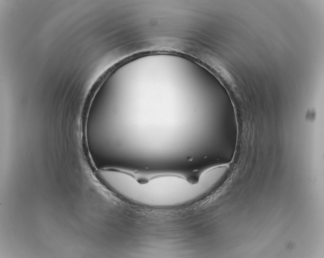 X0000091070936200709041216
