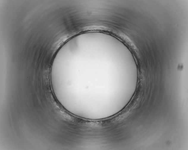 X0000091070937200709041216