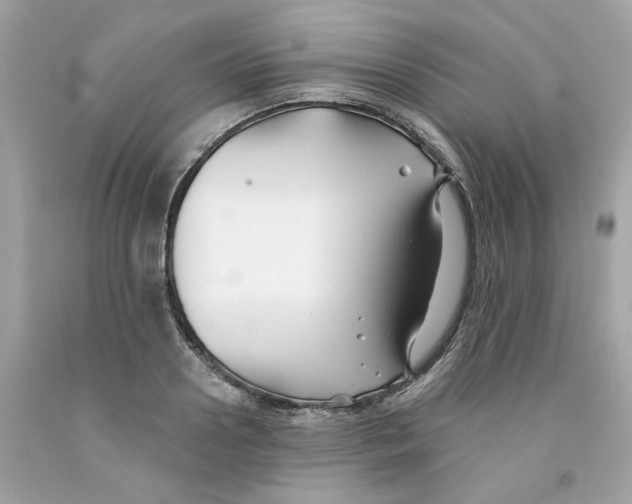 X0000091070938200709041216