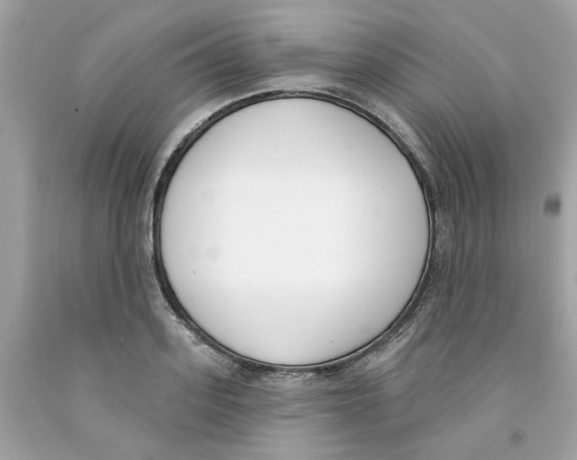 X0000091070939200709041216