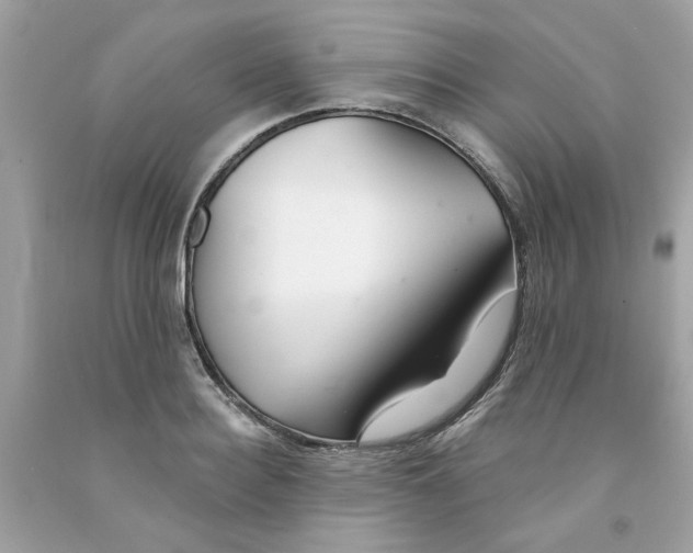 X0000091070940200709041217