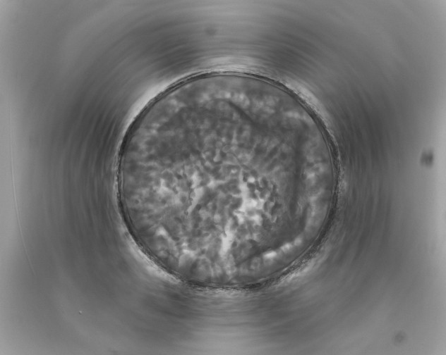 X0000091070941200709041217