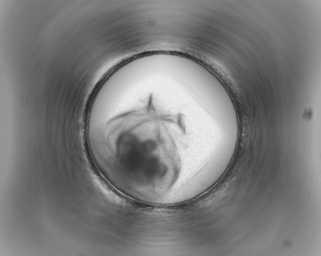 X0000091070942200709041217