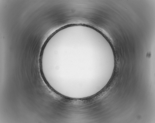 X0000091070943200709041217