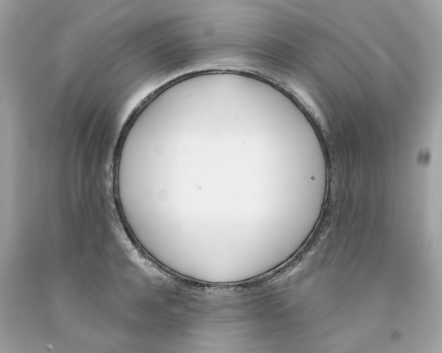 X0000091070944200709041217