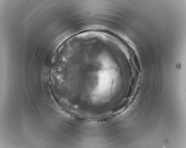 X0000091070945200709041217