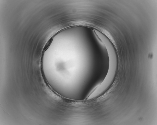 X0000091070946200709041217