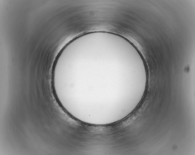 X0000091070949200709041217