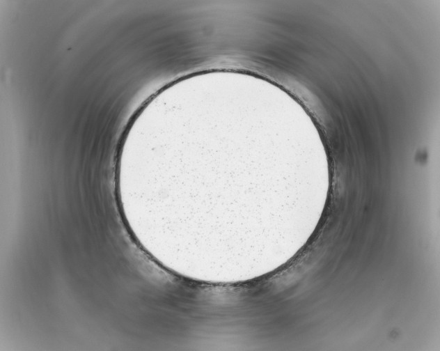 X0000091070950200709041217