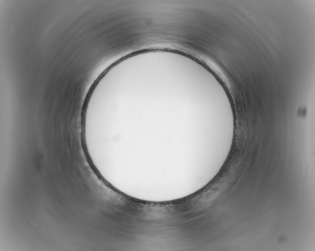 X0000091070951200709041217