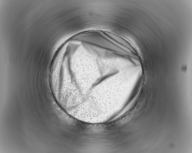 X0000091070952200709041217