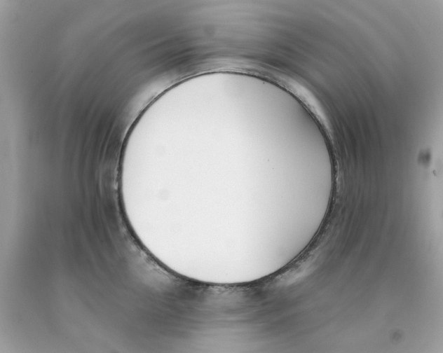 X0000091070954200709041217