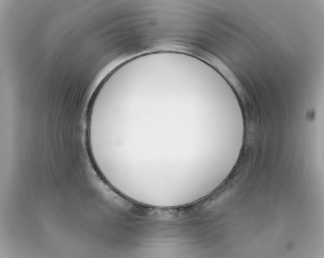X0000091070955200709041217