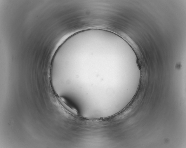 X0000091070956200709041217