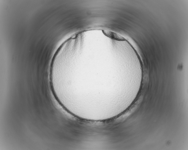 X0000091070957200709041217