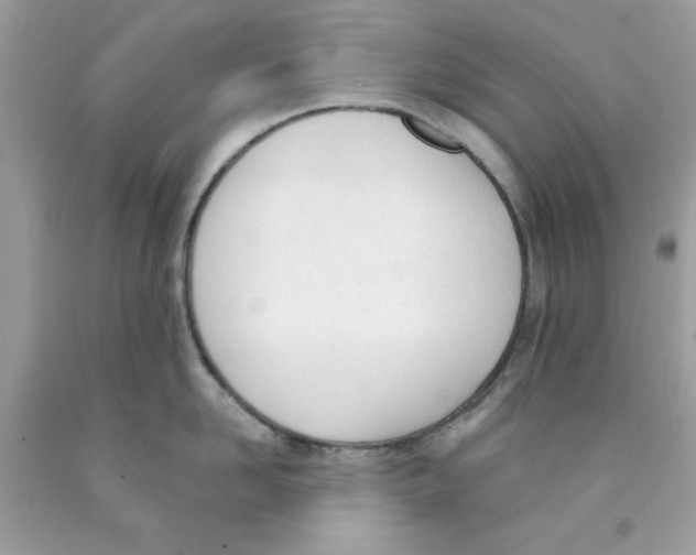 X0000091070958200709041217