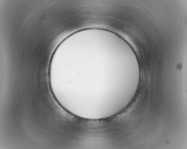 X0000091070959200709041217
